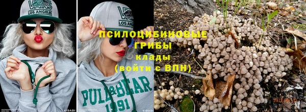 наркотики Алексин