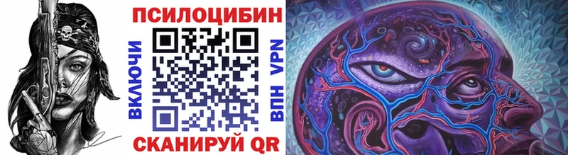 площадка какой сайт  наркота  Павловская  Псилоцибиновые грибы Psilocybine cubensis 